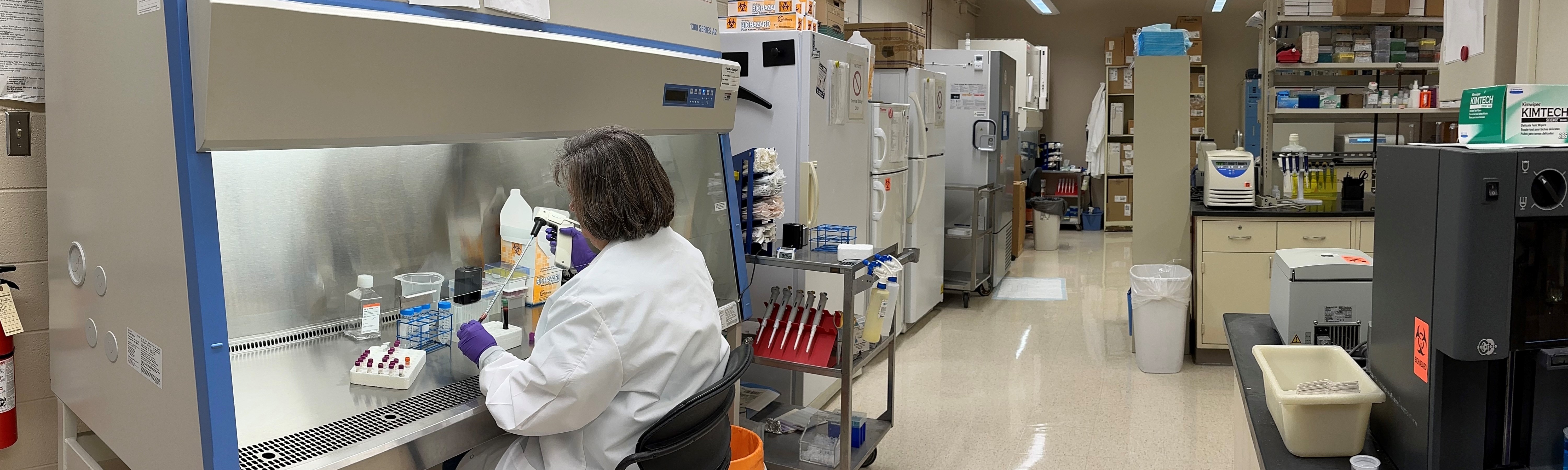 A researcher working in a tissue culture hood.