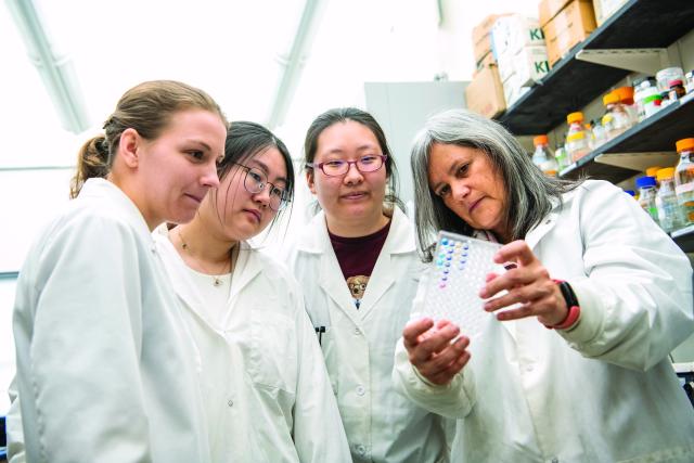 Women researchers staring at data