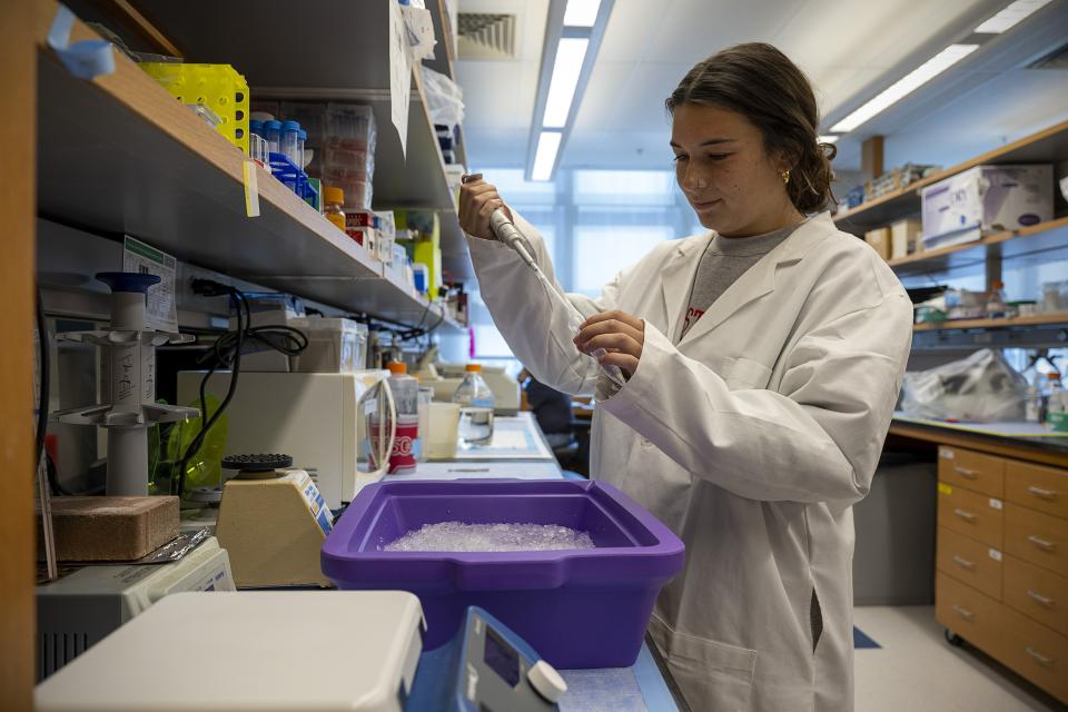 Researcher with ice bucket pipetting